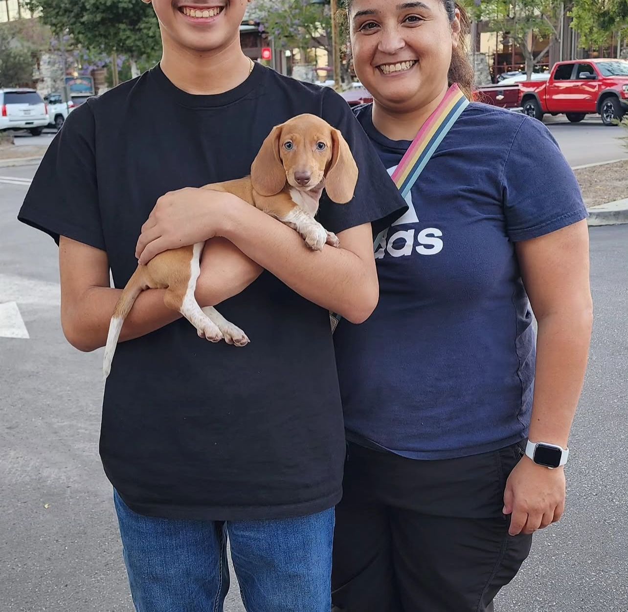 David Chen with their Evermora Home Dachshund